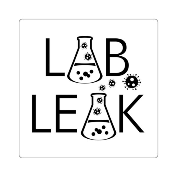 LAB LEAK - A Valid Hypothesis