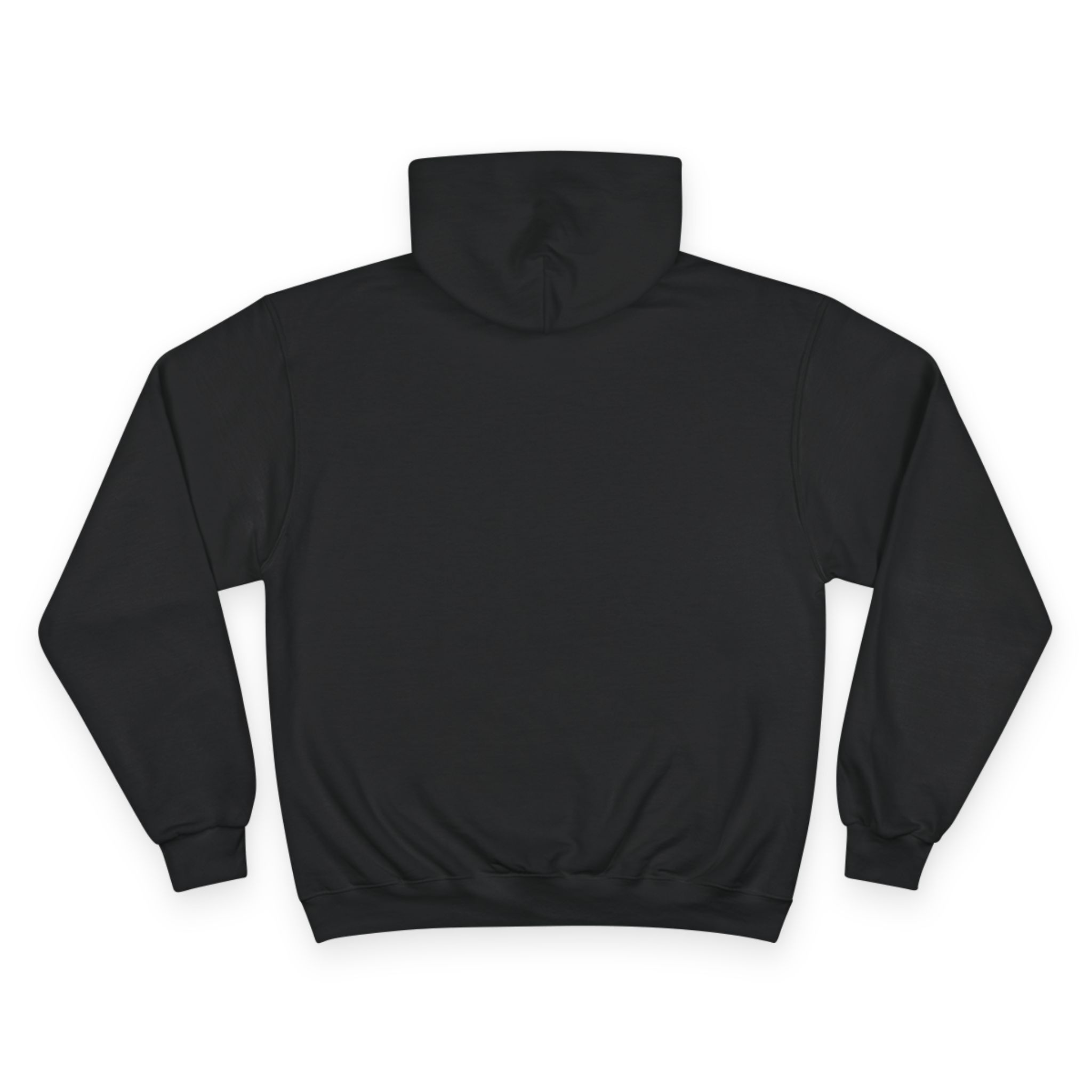COINCIDENCE HYPOTHESIST Hoodie - Champion Premium Pullover - Image 2